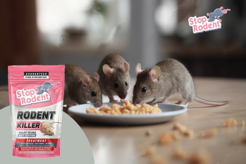 Rivelata la scienza dietro la nostra formula anti-roditori : come il veleno per topi affronta le infestazioni in modo preciso e sicuro
