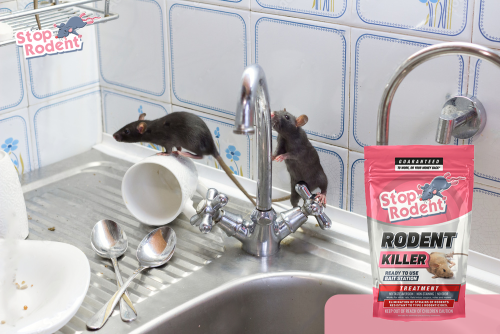 Come garantire un uso sicuro del veleno per topi per proteggere efficacemente la tua casa?